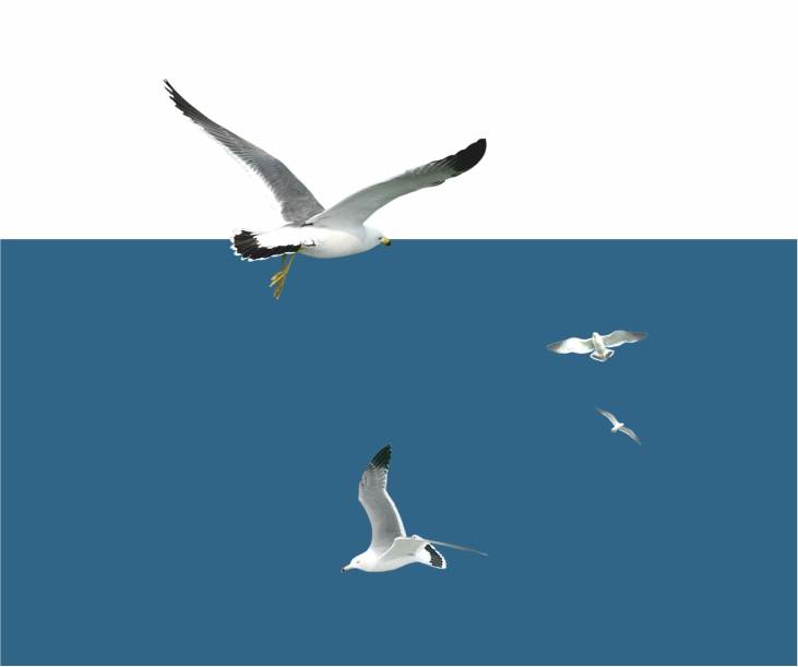 31 Başlıkta Muharrem ve Aşure