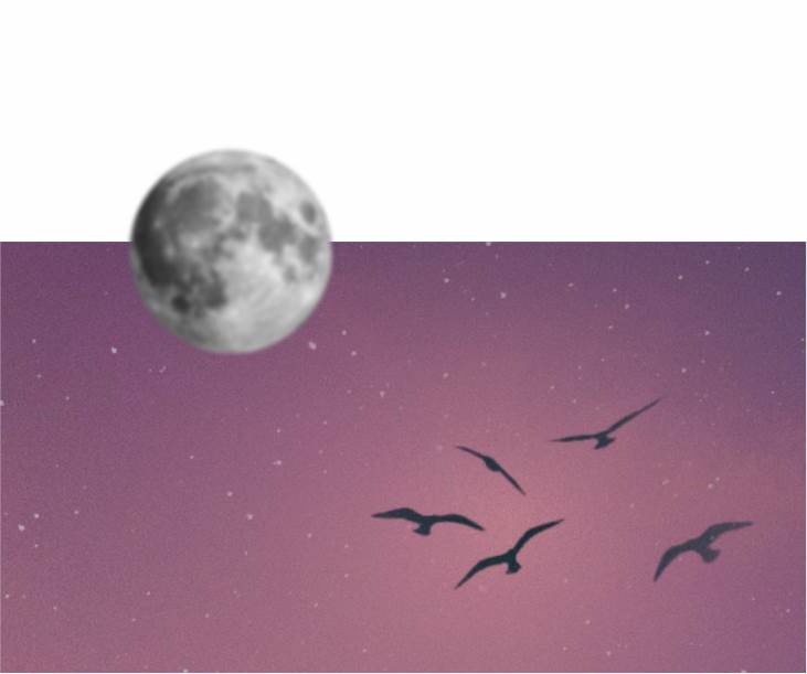 44 Maddede Zilhicce Ayı