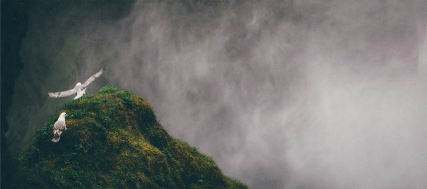 Allah’ın Yardımcıları Olun!