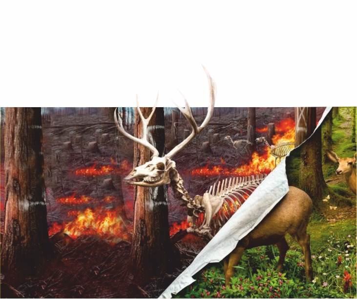 Dünya Hayatı Aldatıcıdır!