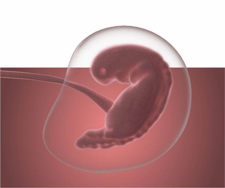 Ey İnsan! Kerim Rabbine Karşı Seni Aldatan Nedir?