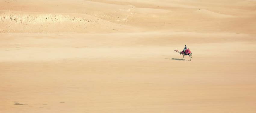 Hicret, Vela ve Beranın Bir Gereğidir