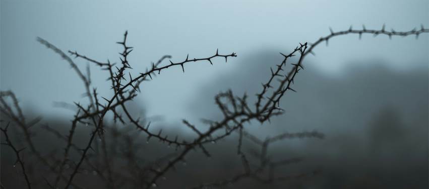 İlim Talebesinin En Hayırlı Azığı