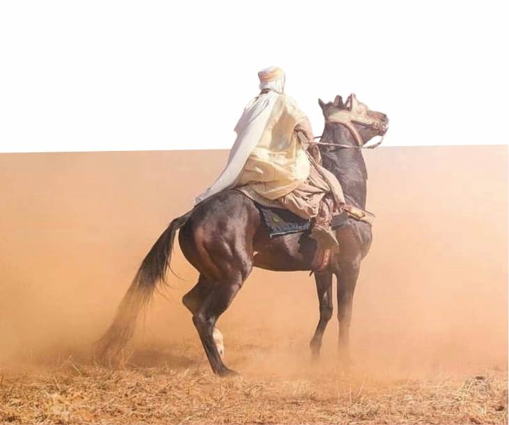 İmam Enes Bin Malik (rh)