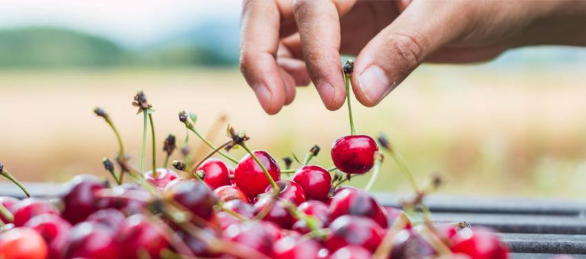 İmtihan Dünyasında Afiyetin Değeri