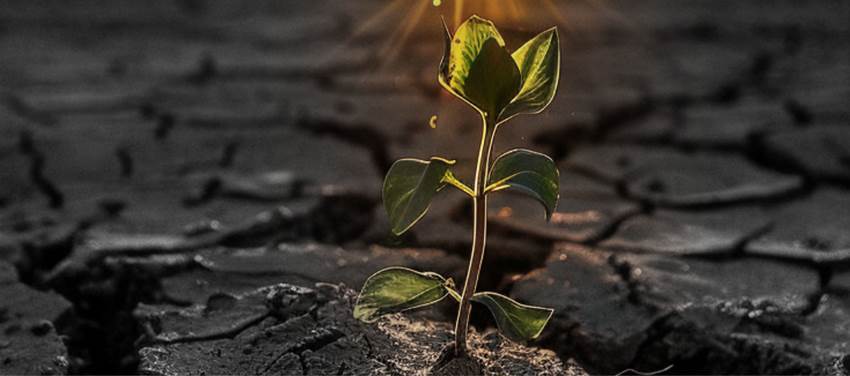 Kişi Öldüğü Hal Üzere Dirilir