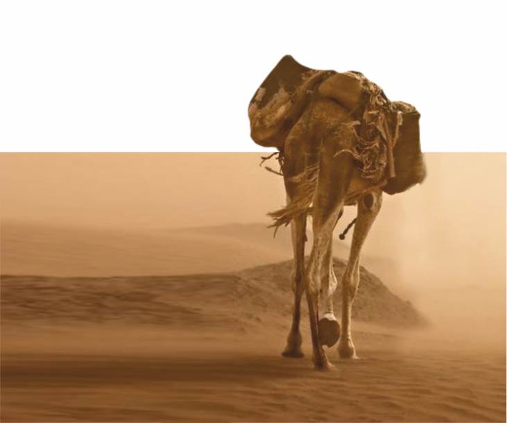 Rasulullah’ın Hicretinden Çıkarılacak Dersler