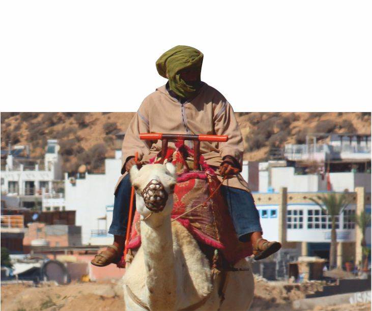 Şehirdeki Bedevîler