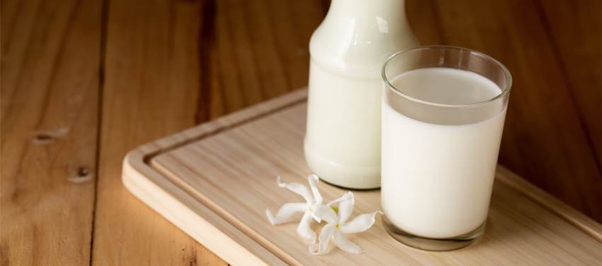 Sütün Oluşumu: İlahi Kudretin Bir Delili