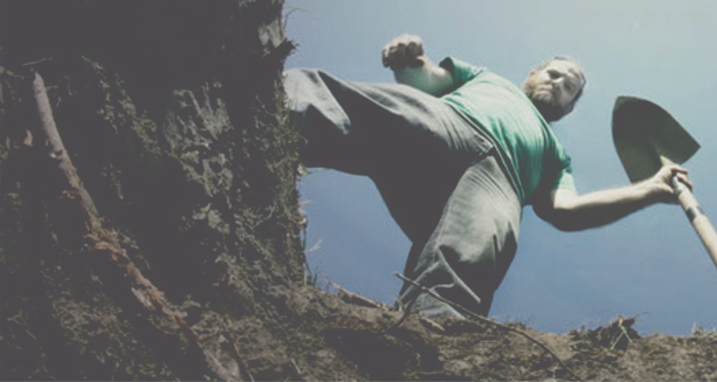 Dilediğin Gibi Yaşa, Öleceksin