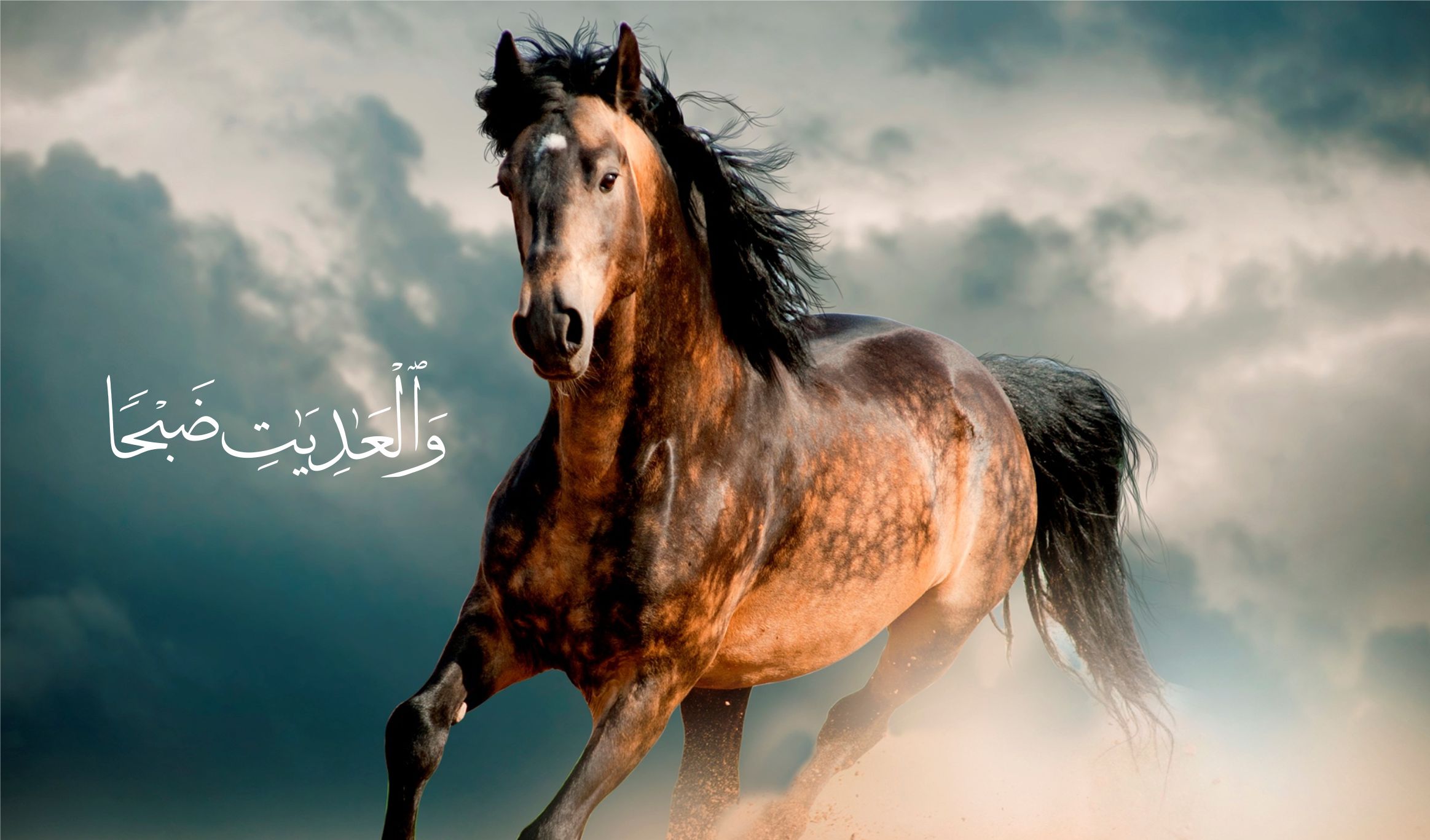 Atların Sadakati Ve İnsanın Nankörlüğü