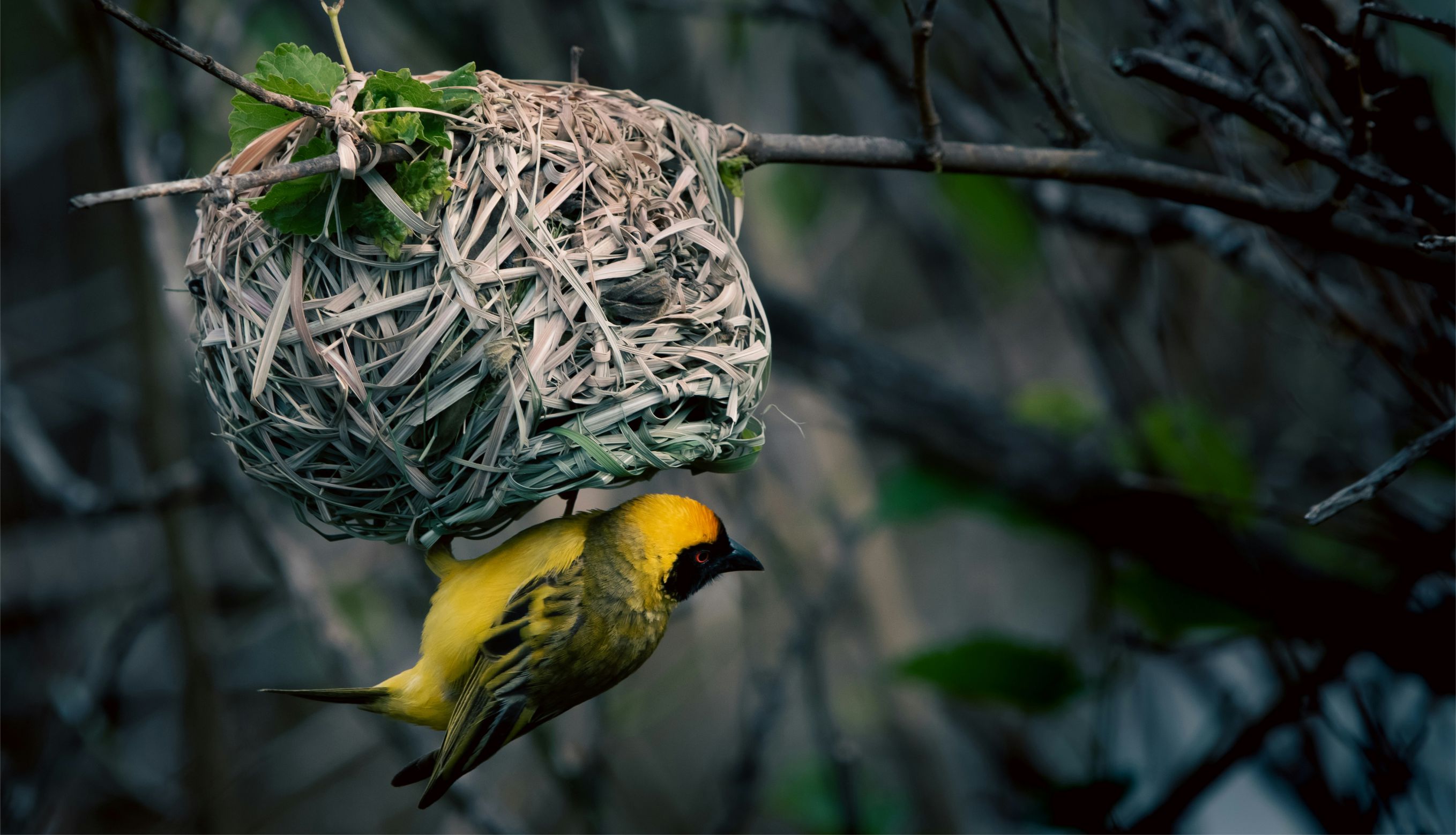 Huzurlu ve Mutlu Bir Yuva Kurmak İçin