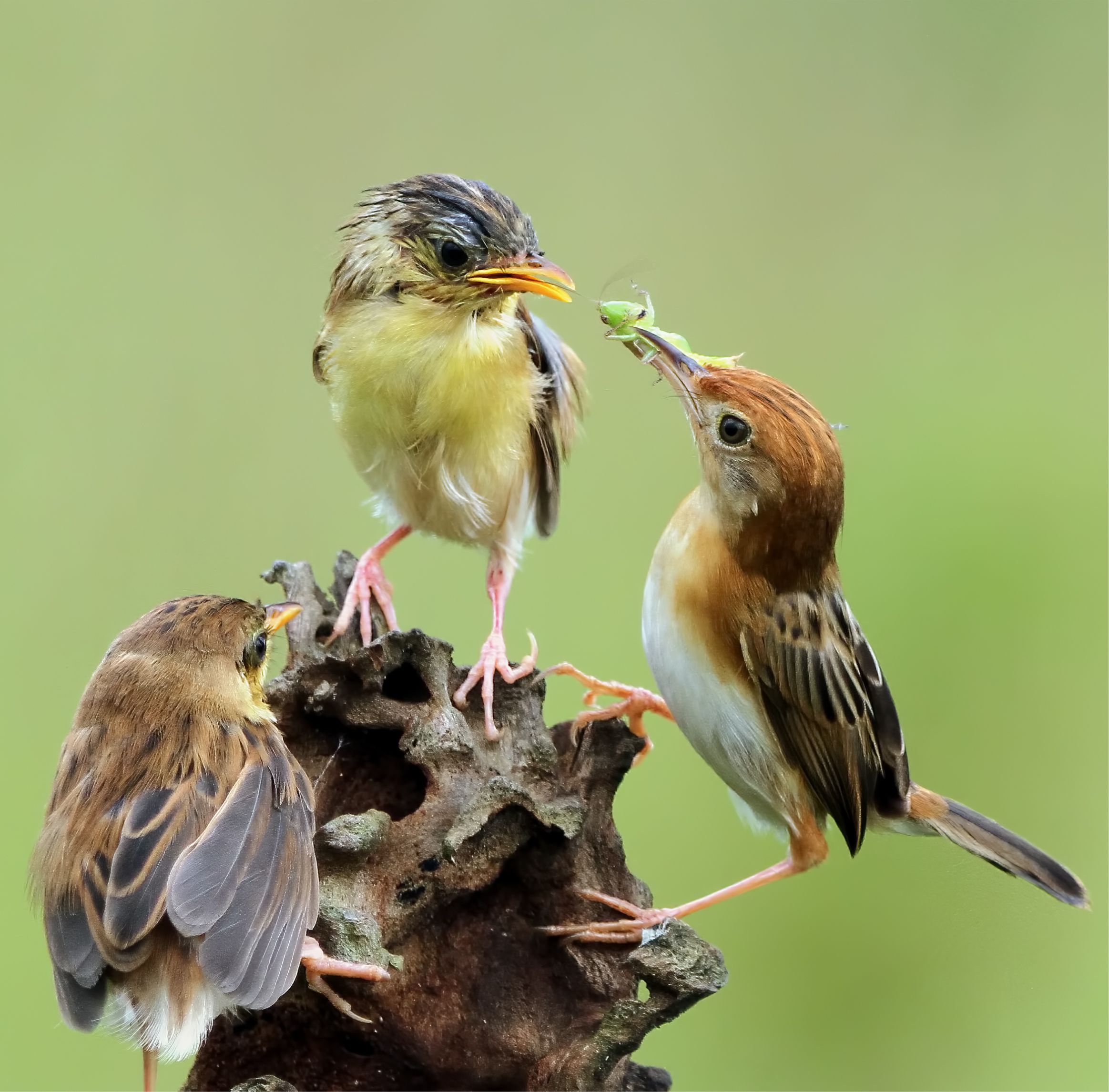 Kişi Arkadaşının Dini Üzeredir
