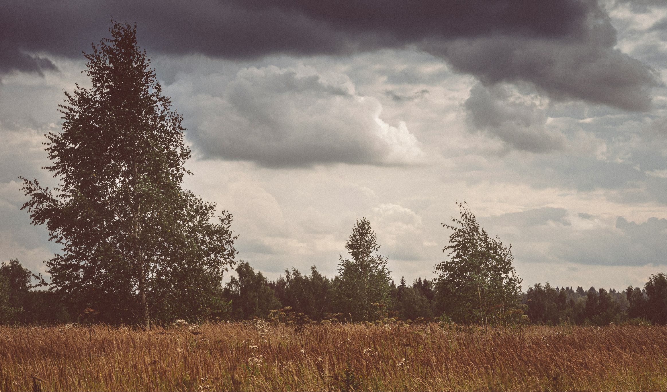 Rüzgârın Görevleri